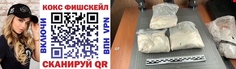 Купить закладки  Пойковский  Cocaine FishScale 