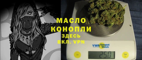 гидропоника Дмитриев