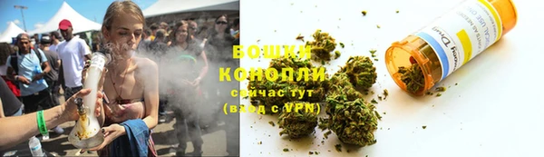тгк Дмитров