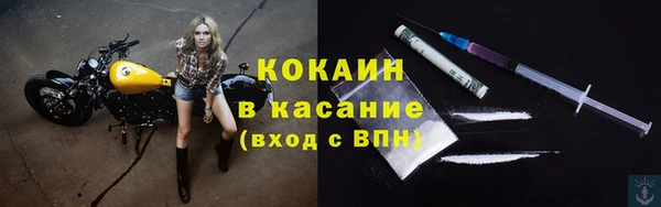 тгк Дмитров
