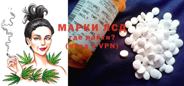 гидропоника Дмитриев