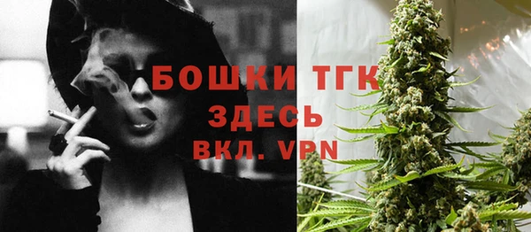 гидропоника Дмитриев