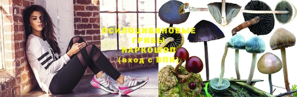 тгк Ельня