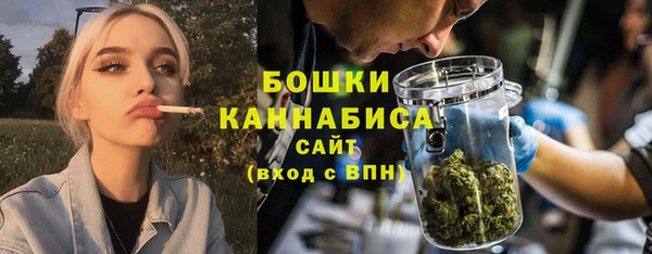 тгк Ельня