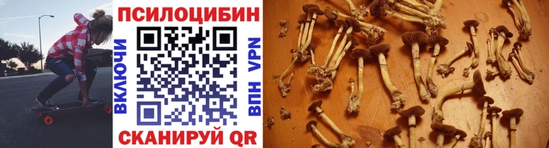 Купить  Пойковский  Галлюциногенные грибы Magic Shrooms 